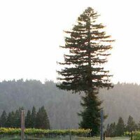 Hirsch Vineyards (@hirschvineyards) 's Twitter Profile