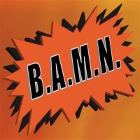 B.A.M.N. Bail Bonds (@bamnbb) 's Twitter Profile