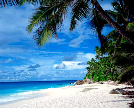 SurfFlights_com's profile picture. Free online travel website with deals on airfare, hotels, vehicle rentals, and travel packages.  All for free! :)