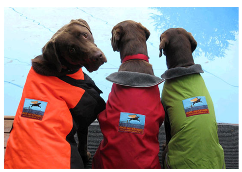 VolunteerBoston's profile picture. Boston volunteer connections through Twitter!