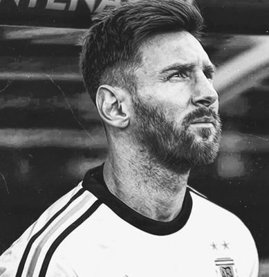 messizgrt's profile picture. بادر قبل ان تغادر