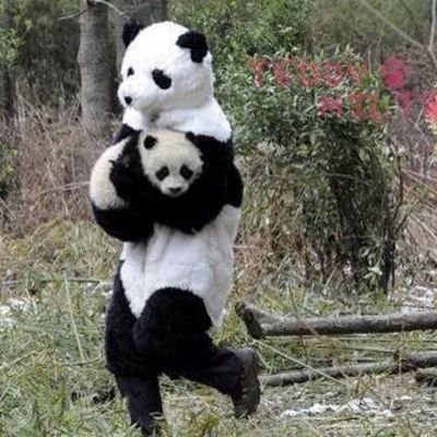 sssindisguise's profile picture. Run Bernie Run!