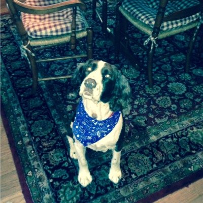 KarenKnotes's profile picture. 