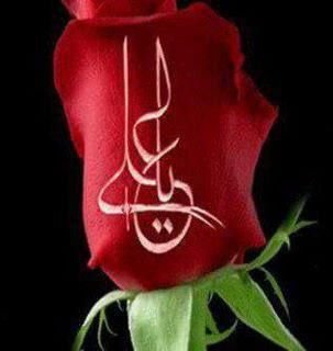 maha_kashef's profile picture. 