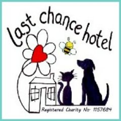 Last Chance Hotel - Rehoming special animals that need specially caring homes.