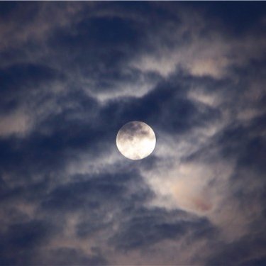 defshepard's profile picture. Fan of the 60's, 70's folk/rock music. No DM's from strangers I will Block them immediately. No exceptions.