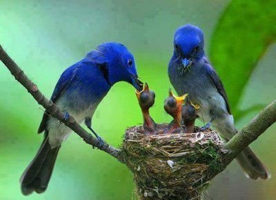 sanjit12345678's profile picture. 