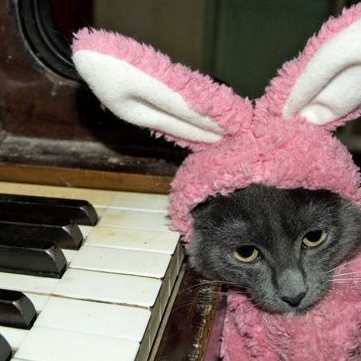 kabukky's profile picture. Software developer and game designer.