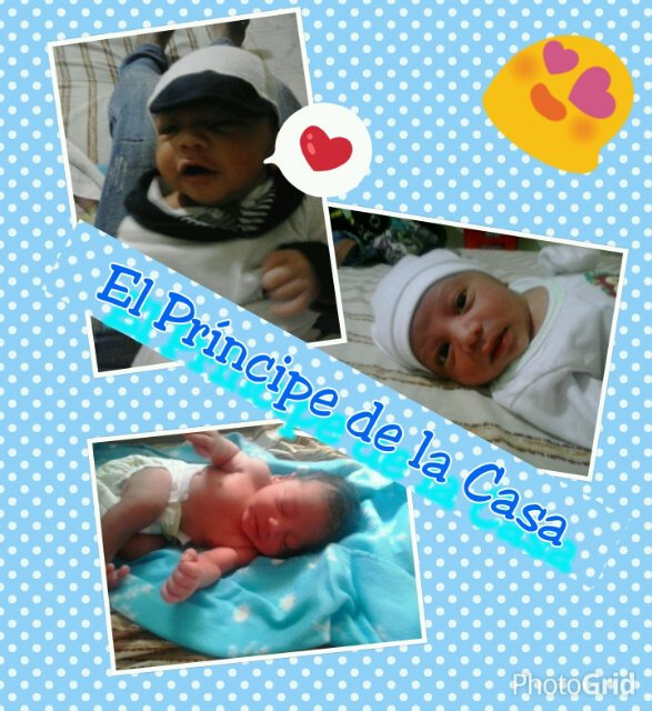 rosmerys94's profile picture. Disfrutar la vida al Máximo sin dar explicaciones Ya que cuando te vallas eso es lo unico que te llevas