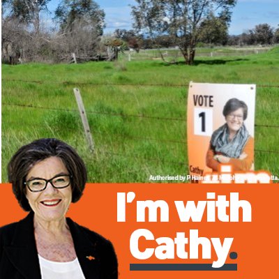 We're not Cathy McGowan AO but just as awesome. And funny. Slightly serious. Unofficial fan club for the current Federal MP for Indi in Victoria, Australia.