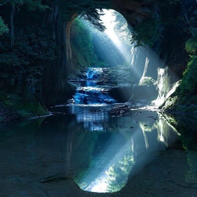 lPEmoMXiCwFNv81's profile picture. 