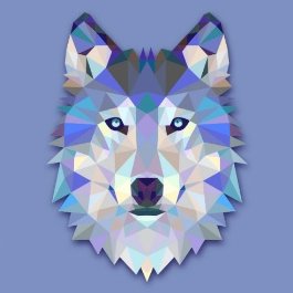 Ruff Ruff, we're everyone's favorite (and cheapest) Modafinil store! Bitcoin and PayPal payments, full refunds, and our 100% delivery guarantee.