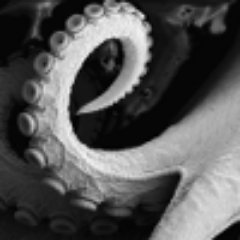 lateralusmkt's profile picture. 