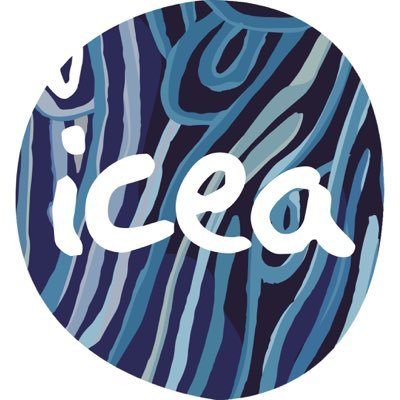 ICEAfoundation's profile picture. Reconciliation inspired by young people.