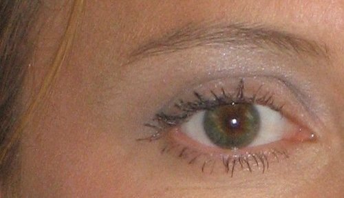 alexmackels's profile picture. 