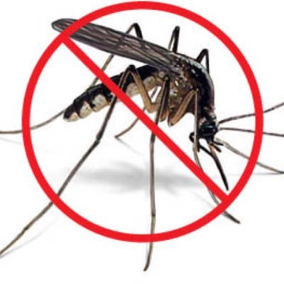 Zika Repel is a buzz of news, knowledge and information in support of our global community to repel the sting of biting insects.