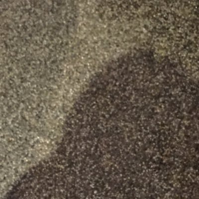 sashit5's profile picture. 