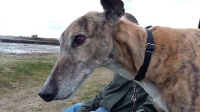 brumb11's profile picture. 