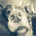 Ben x (@beathepooch) Twitter profile photo Ben x (@beathepooch) Twitter profile photo