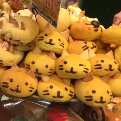 わかめさんのプロフィール画像