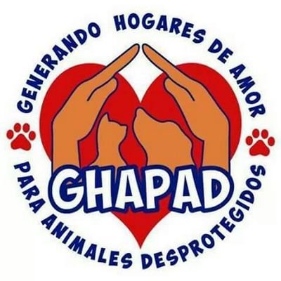 Somos una AC preocupada por el bienestar animal, creamos conciencia, generamos hogares, ¡ADOPTA NO COMPRES!