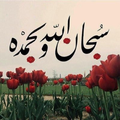 ahfam66's profile picture. 