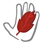 T_Sans_Papiers's profile picture. Collectif de citoyens visant à venir en aide aux personnes sans papiers de Tournefeuille.