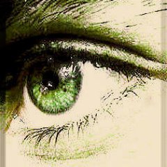 renatosr1504's profile picture. 