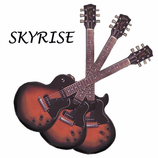 SkyriseMusic Profile Picture