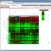 NGCHM (@nextgenheatmaps) 's Twitter Profile