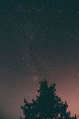 DipitowMusic's profile picture. 