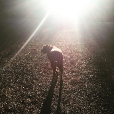 nanamaniaz's profile picture. 