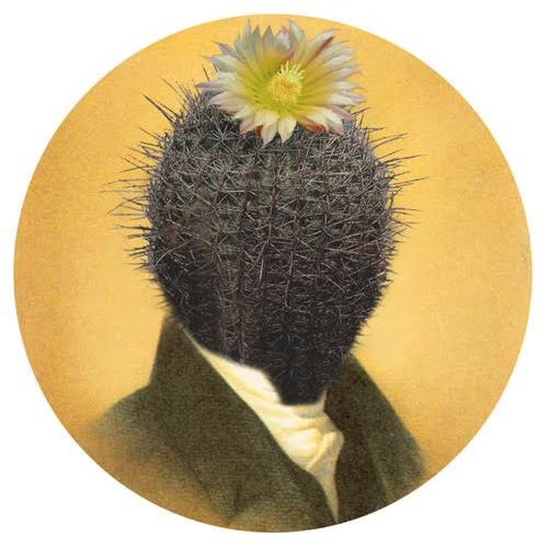 Stacy Innerst Profile