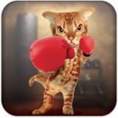 1chessmaster1's profile picture. 