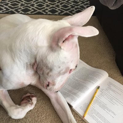 Tor0311's profile picture. 