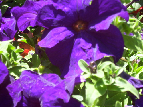 Fallen_Woman's profile picture. Obsessive news consumer, lover of big cities, admirer of fine things. Voice actor, stage manager, writer, director, dramaturg, navel gazer.  少し日本語話せます！