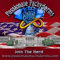 PassionatePachyderms (#CPP Advocate)(@PithyPins) 's Twitter Profile Photo