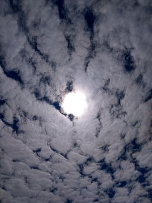 kikani_chetan's profile picture. 