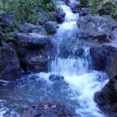 nationTTwyterpt's profile picture. #Arts & #Culture #alwaystrump #MAGA #TrumpTwytterpationNation prefers rational discussion.