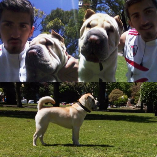 FabiLucero_'s profile picture. 