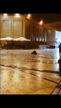 upoop3751's profile picture. 