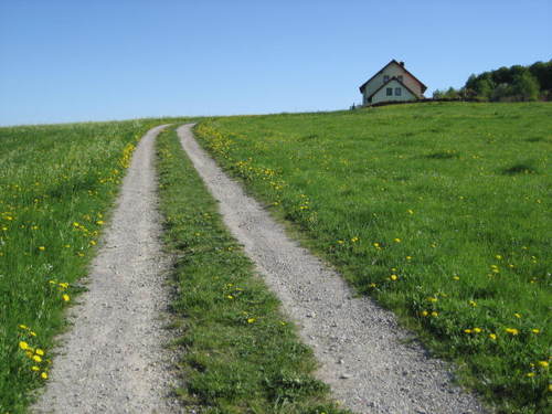 StefanEtzel's profile picture. 