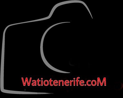 watiotenerife's profile picture. Web de eventos e información de Tenerife https://t.co/zKzR5pqECY