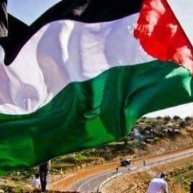 direch86's profile picture. tmlt