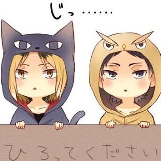 みぃー@HQ!さんのプロフィール画像