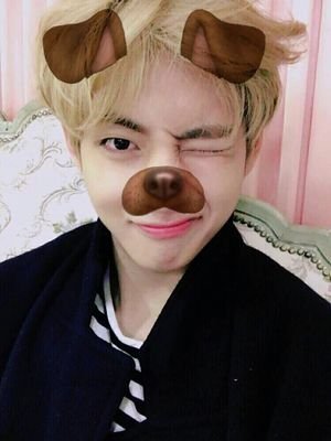 KevinKpop12's profile picture. K-pop vines