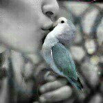 ❤️لصفاء القلوب حلاوة لايشعر بها إلا من طهر قلبه ❤️(مدوناتي بLikes)❤️🇰🇼