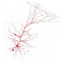 Lamylab (@lamylab) 's Twitter Profile