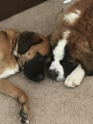 Freakmagnet70's profile picture. Music Rock/Alt Indie/Experimental