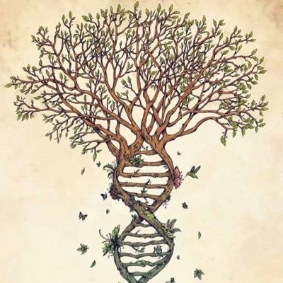 Permaculture enthusiast who looks to the past for proof of resilience and future for improved technological design.